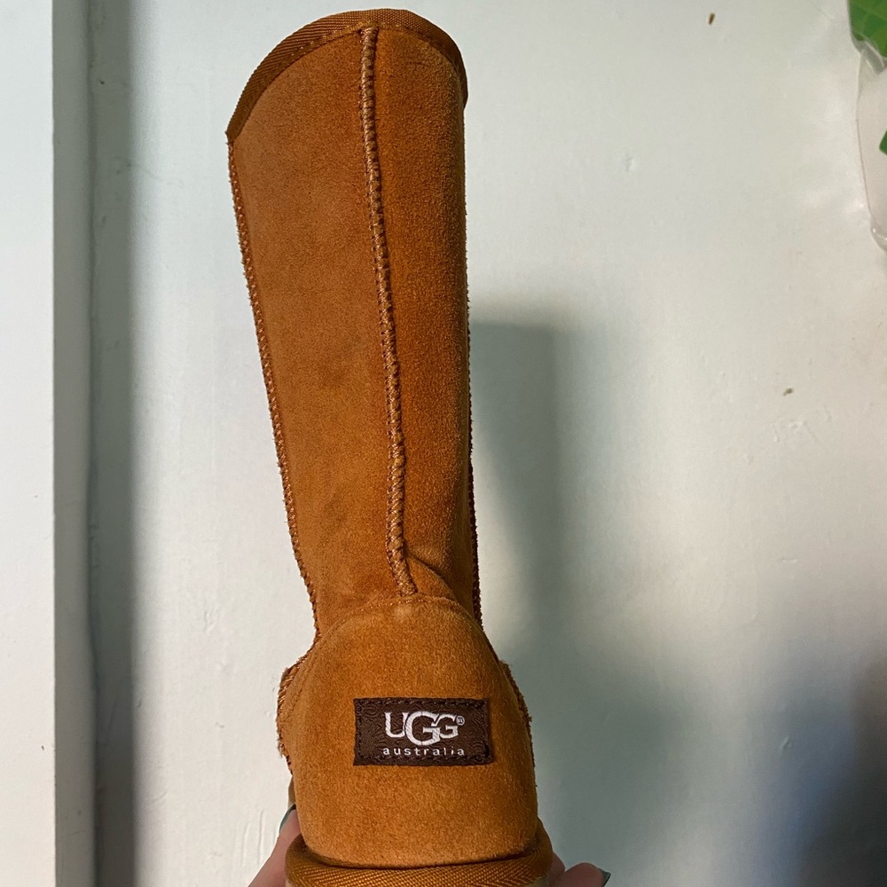 Chestnut Tall UGGs